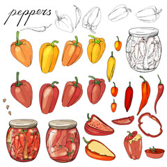 Isolated peppers. Various color, food made of paprika and chilli.