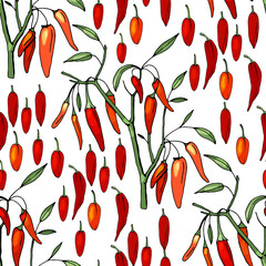 Seamless pattern with different sorts of pepper on white.