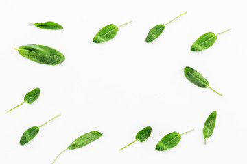 Herbal medicine. Healing herbs on white background top view copy space pattern