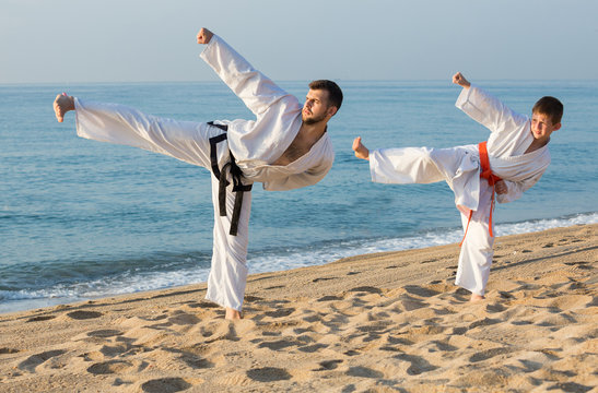 Man and boy doing karate poses