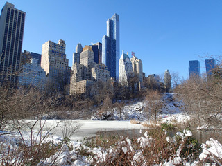 Freezing Pond in Manhattan