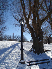 Lamppost and Sun in Snowy Park