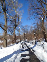 Path in Snowy Park