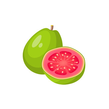 Summer tropical fruits for healthy lifestyle. Guava, whole fruit and half. Vector illustration cartoon flat icon isolated on white.