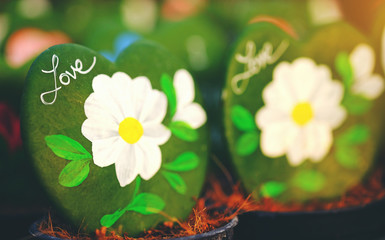 Closeup twin HOYA CACTUS in sackcloth flower pot on wooden table and background.