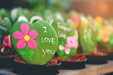 Closeup twin HOYA CACTUS in sackcloth flower pot on wooden table and background.
