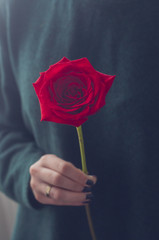Dziewczyna z czerwoną różą