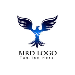 Fototapeta premium elegant eagle flying bird logo