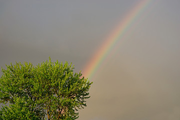 rainbow on cloudy sky after storm
