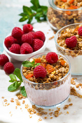 dessert with homemade granola, fresh raspberries, fruit and natural yoghurt, vertical top view