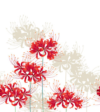 彼岸花 Images – Browse 35,913 Stock Photos, Vectors, and Video