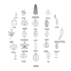 Leaf icons set. Outline illustration of 25 leaf vector icons for web