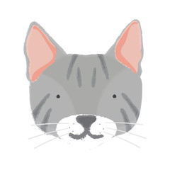 Illustration of cat
