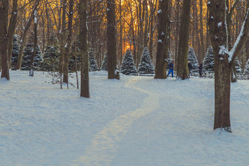 park in winter at sunset in Russia