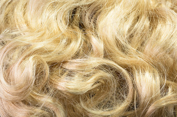 Obraz premium Blonde hair background
