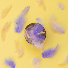 colored feathers inside the coconut on a yellow background. the concept of a summer drink or cocktail. pastel minimal