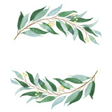 Wedding green twig. Watercolor illustration.
