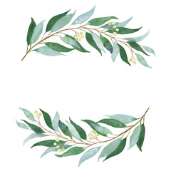 Wedding green twig. Watercolor illustration.