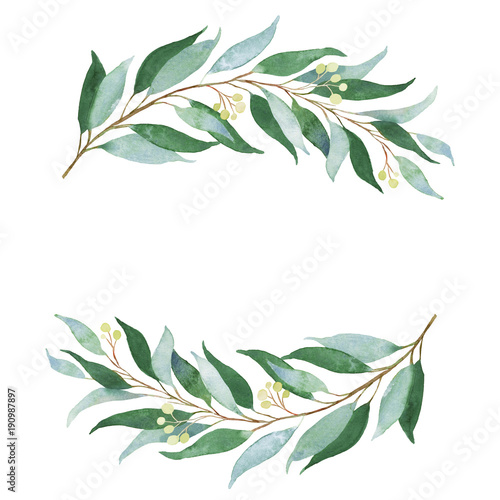 Wedding green twig. Watercolor illustration.