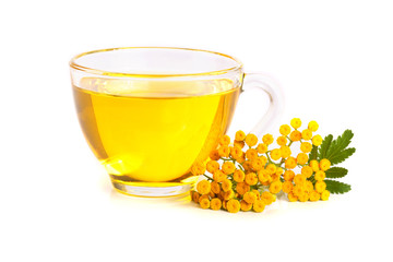 tansy tea with flowers isolated on white background