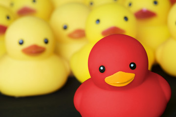 Closeup of rubber duckies