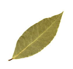 Obraz premium Bay leaves isolated on white background