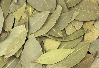 Dry bay laurel leaves as background texture