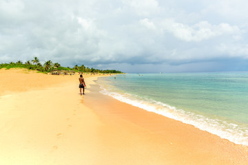 Fototapeta na wymiar vacation on the beach on the hot Caribbean islands with green palms, yellow sand