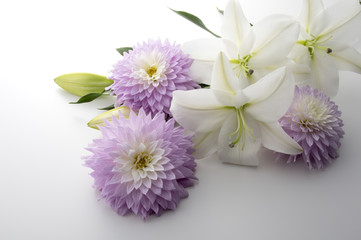 ダリアと白いユリ