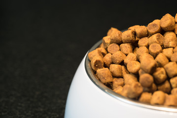 Dry dog treats in bowl