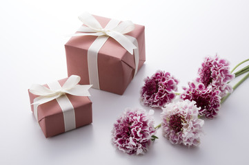 スカビオサとギフトボックス