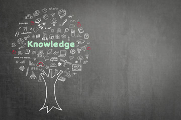 Tree of knowledge education concept on black chalkboard background with doodle