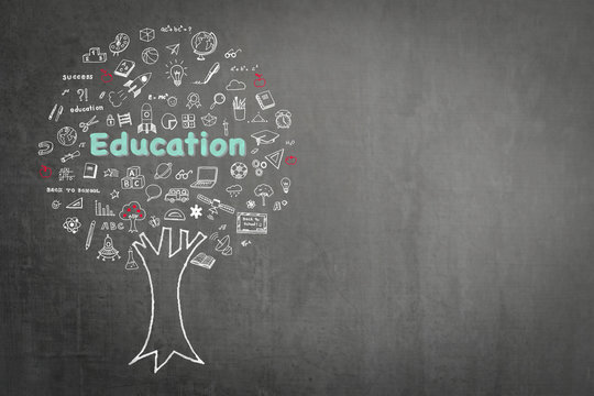 Tree of knowledge and education concept on black chalkboard with doodle