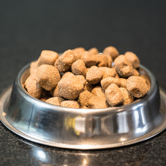 Dry dog treats in bowl