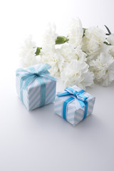青色のギフトボックスと白いカーネーション