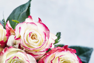 Festive bouquet of red and white roses, Valentines Day card, selective focus