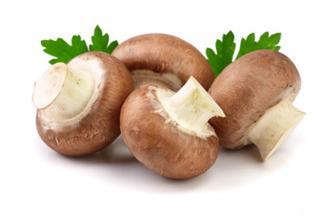 Royal Brown champignon with parsley leaf isolated on white background