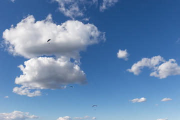 Some paragliders flying against a beautiful deep, blue sky, with big white clouds © Massimo