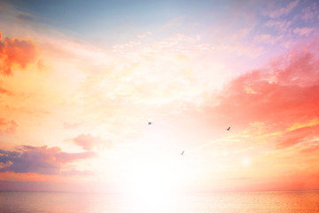 Sunset on the beach with beautiful sky