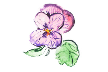 Watercolor drawing of fresh flowers aquarelle painting