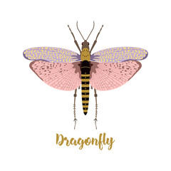card with beautiful dragonfly