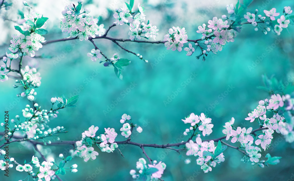 Poster beautiful spring floral background with branches of blossoming cherry, soft focus. frame of pink sak