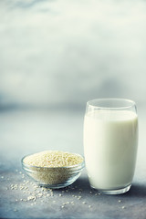 Sesame seed milk in glass and sesame seeds on grey concrete background with copy space. Raw food diet. Vegan concept