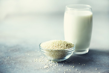 Sesame seed milk in glass and sesame seeds on grey concrete background with copy space. Raw food diet. Vegan concept