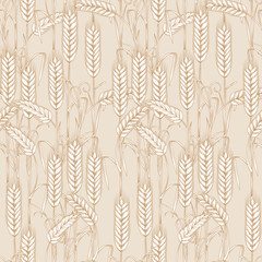 Wheat seamless pattern