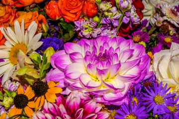 Obraz premium Photo of close-up abstract flower background consist of many flowers
