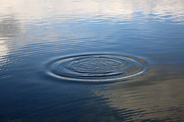Fototapeta na wymiar Wasserringe im See
