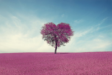 Abstract field with heart shape tree under blue sky. Beauty nature. Valentine concept background - 190996069