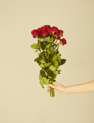 Woman's hand holding bunch of roses. Valentine's Day concept. International Women's Day concept.