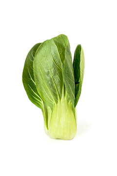 A bunch of Pak-choi salad (Chinese cabbage) on a clean white background. Isolated..